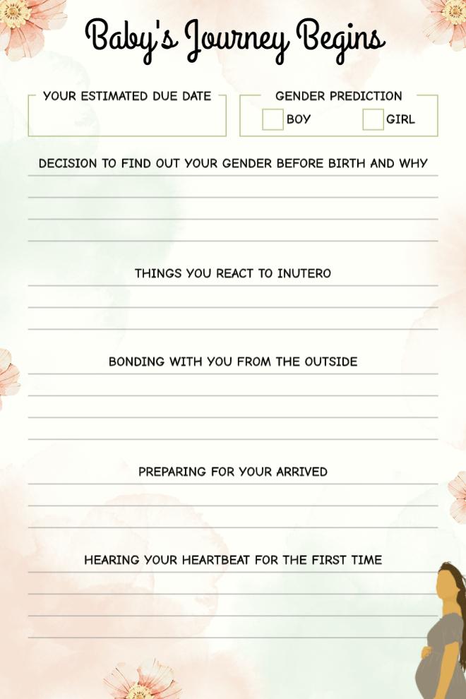 Babys Journey Begins Pregnancy Journal